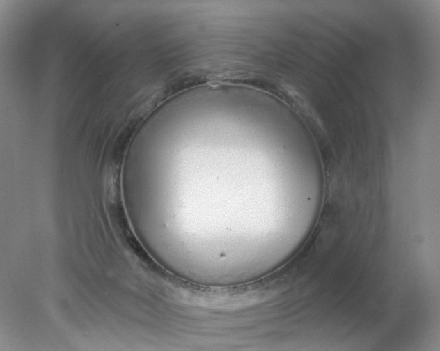 X0000078270026200611172042