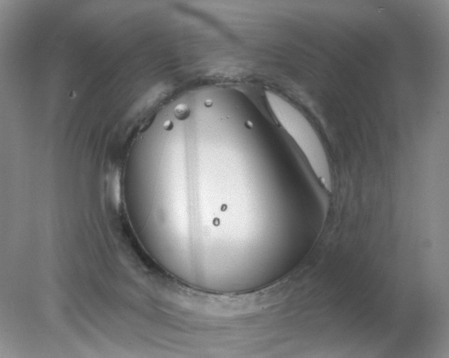 X0000078270027200611172042