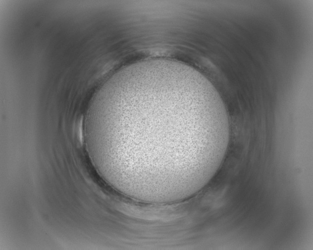 X0000078270028200611172042