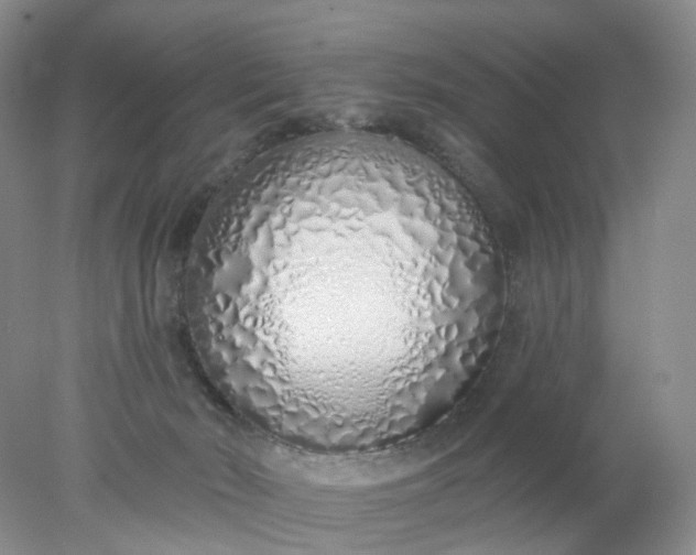 X0000078270030200611172042