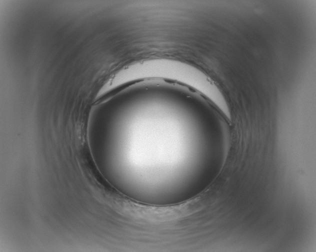 X0000078270031200611172042