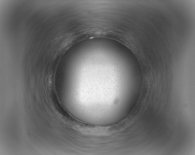 X0000078270032200611172042