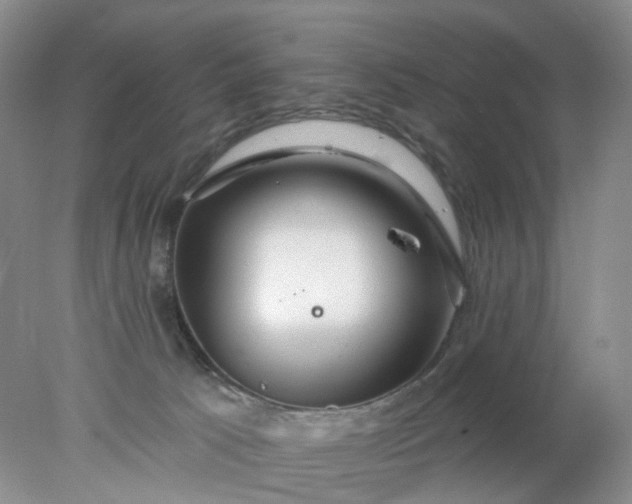 X0000078270033200611172042