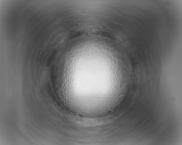 X0000078270034200611172042