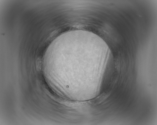 X0000078270036200611172042