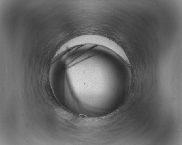 X0000078270037200611172042