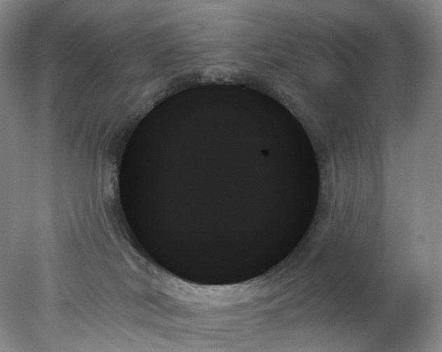 X0000078270038200611172042