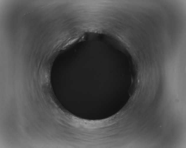 X0000078270039200611172042