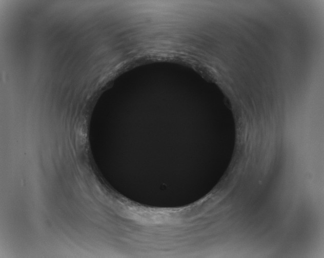 X0000078270040200611172042