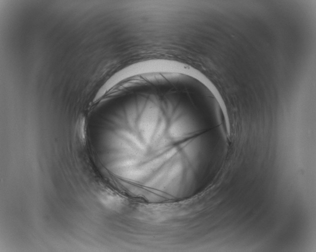 X0000078270041200611172042