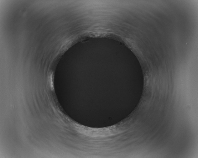 X0000078270042200611172042