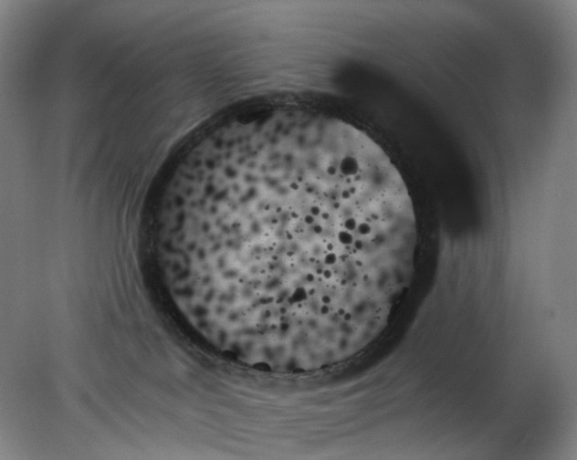 X0000078270043200611172042