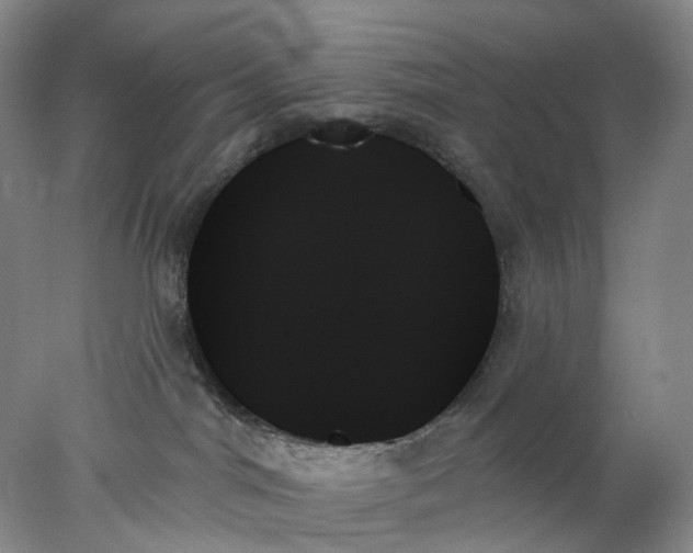 X0000078270044200611172042