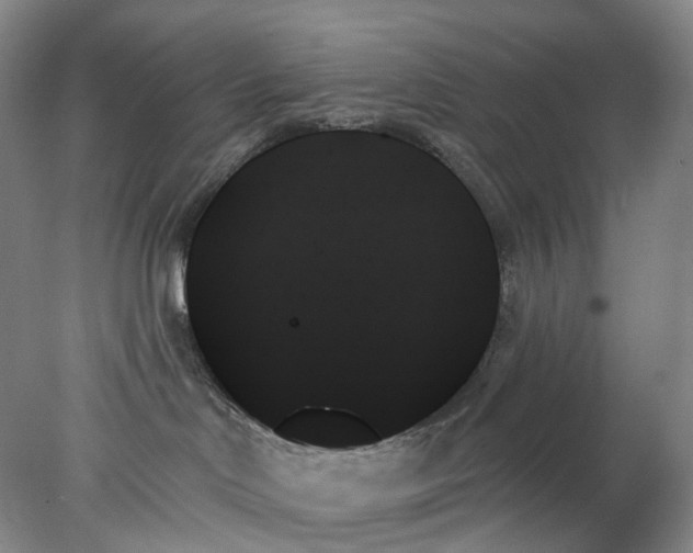 X0000078270046200611172042