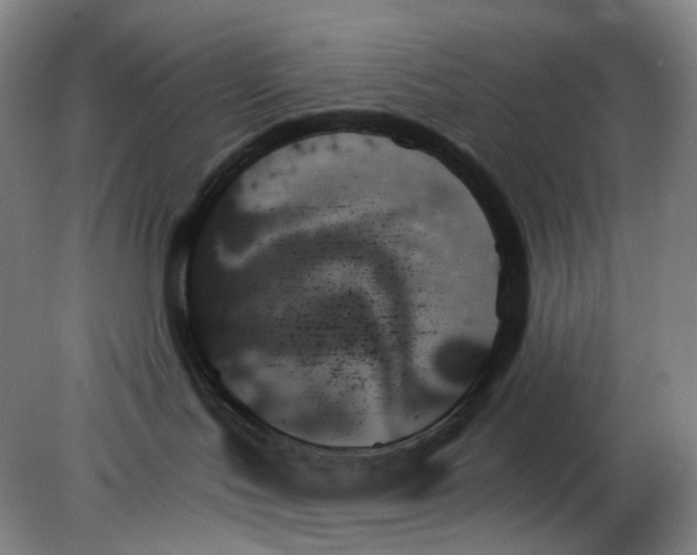 X0000078270047200611172042