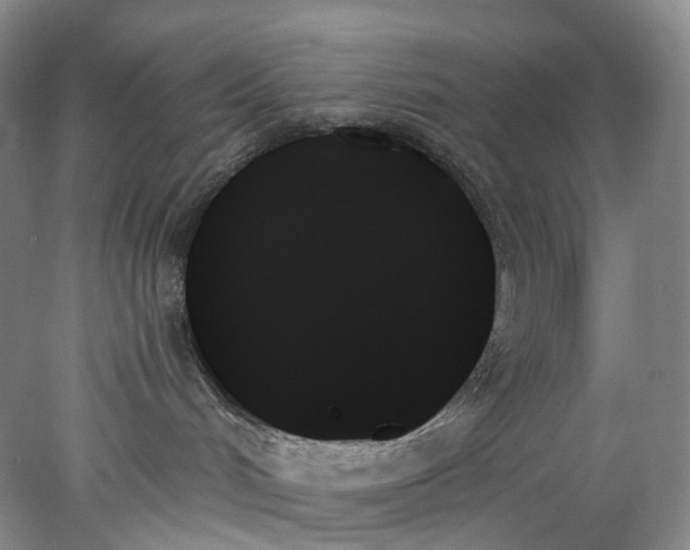 X0000078270048200611172042