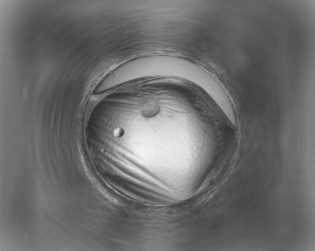 X0000078270049200611172041