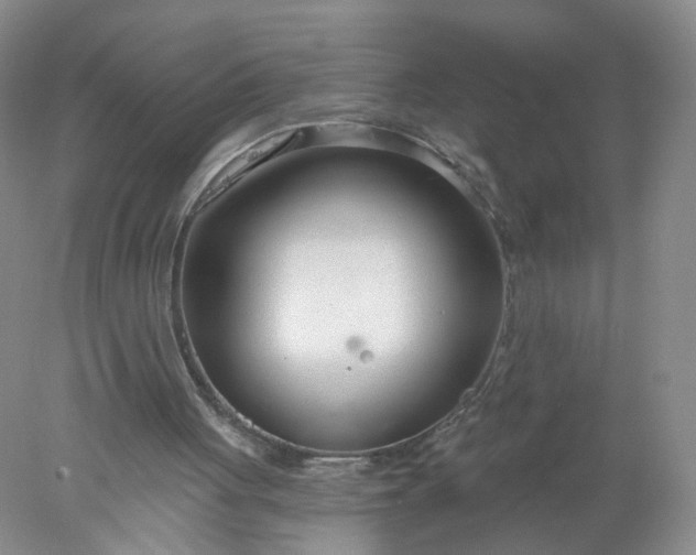 X0000078270051200611172041