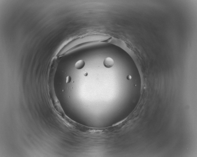 X0000078270052200611172041