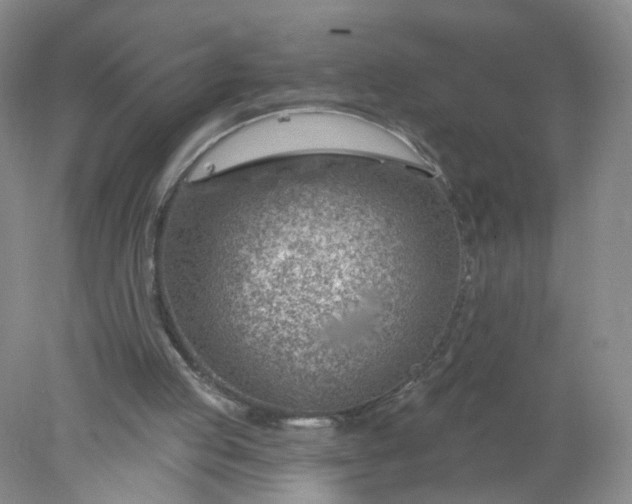 X0000078270053200611172041