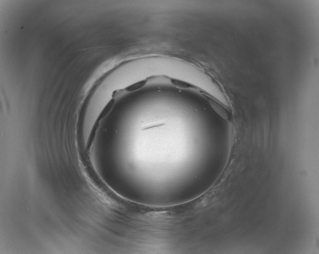 X0000078270054200611172041