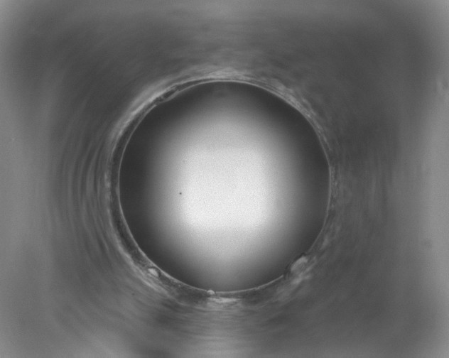 X0000078270055200611172041