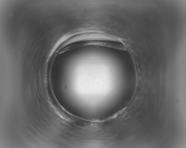 X0000078270056200611172041