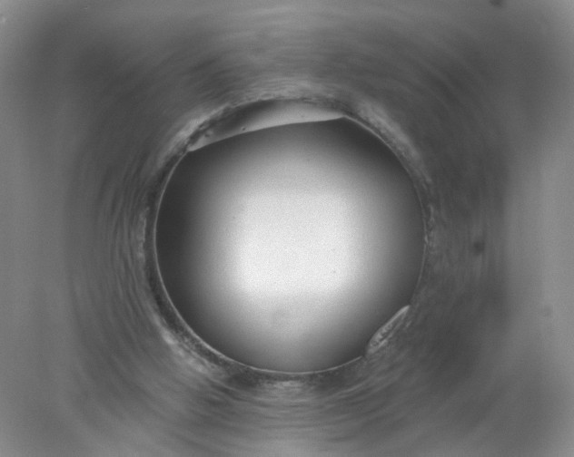 X0000078270058200611172041