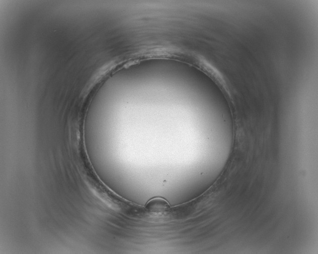 X0000078270059200611172041