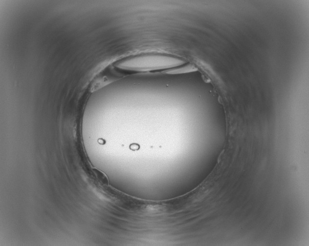 X0000078270060200611172041