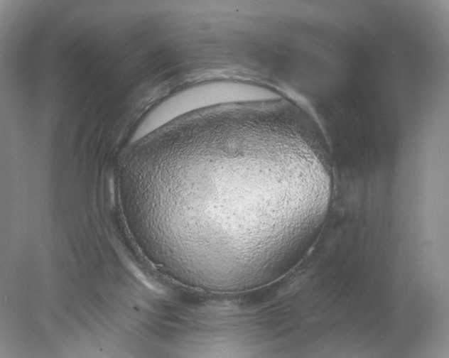 X0000078270061200611172041