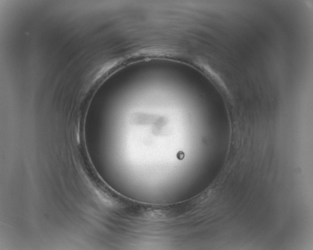 X0000078270062200611172041