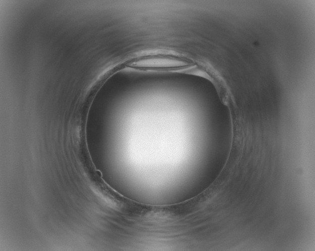 X0000078270063200611172041