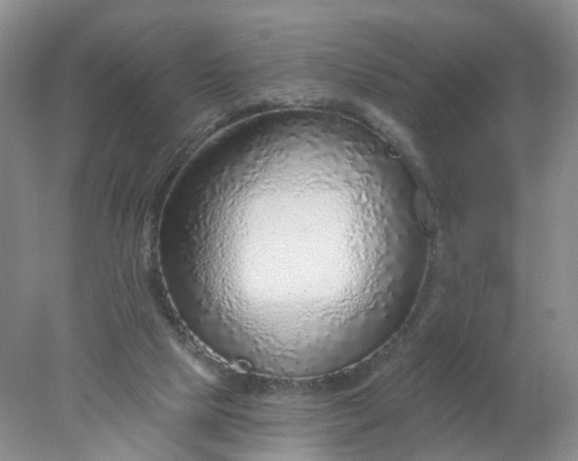 X0000078270065200611172041