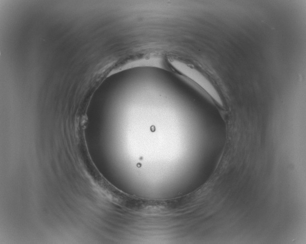 X0000078270066200611172041