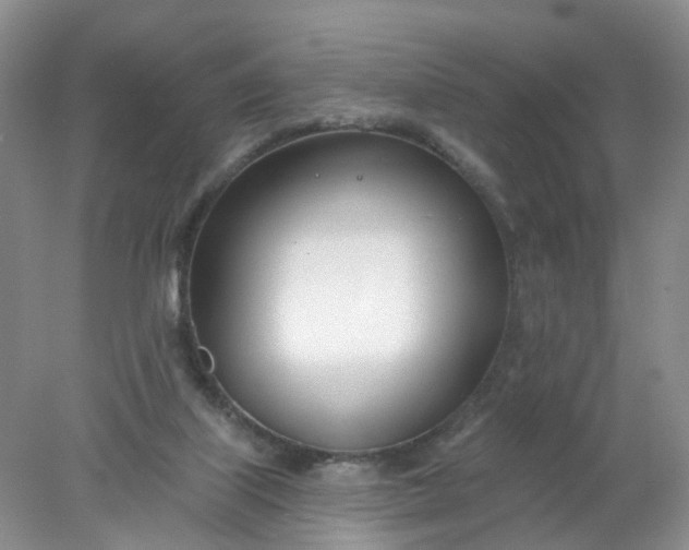 X0000078270067200611172041