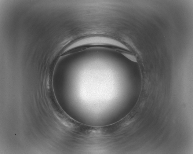 X0000078270068200611172041