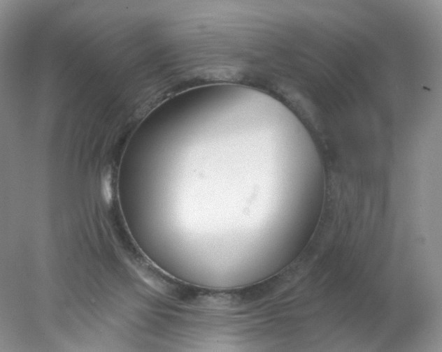 X0000078270069200611172041