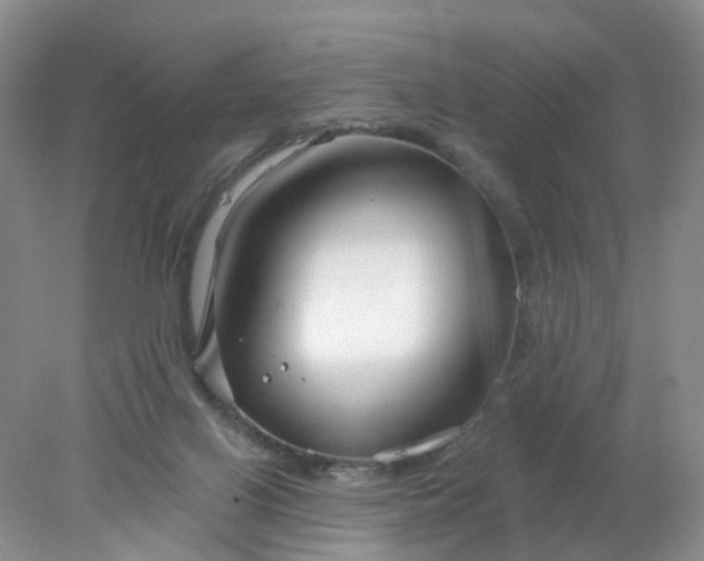 X0000078270070200611172041