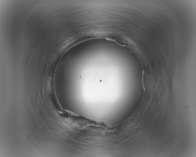 X0000078270071200611172041