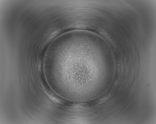 X0000078270072200611172041