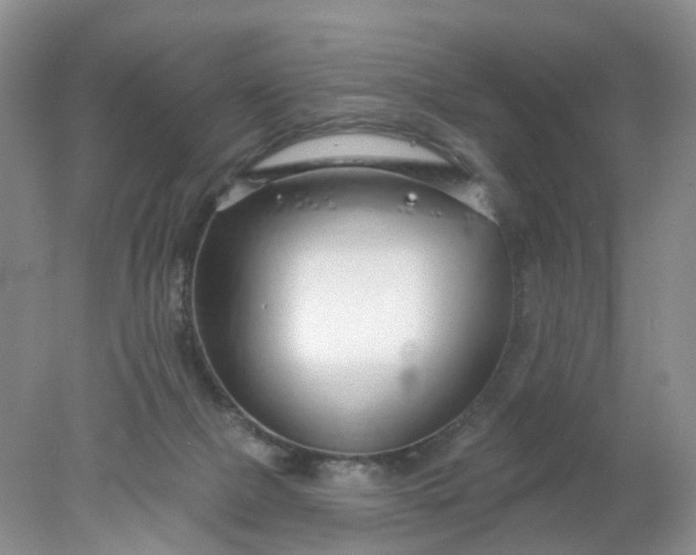 X0000078270073200611172041