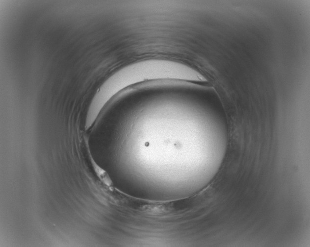 X0000078270074200611172041