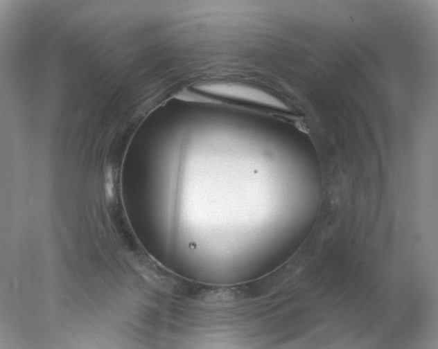 X0000078270075200611172041