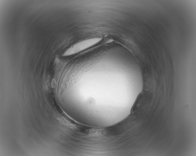 X0000078270077200611172041