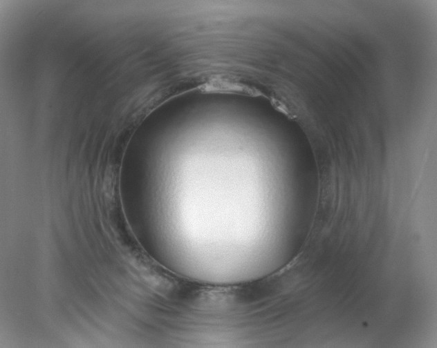 X0000078270078200611172041