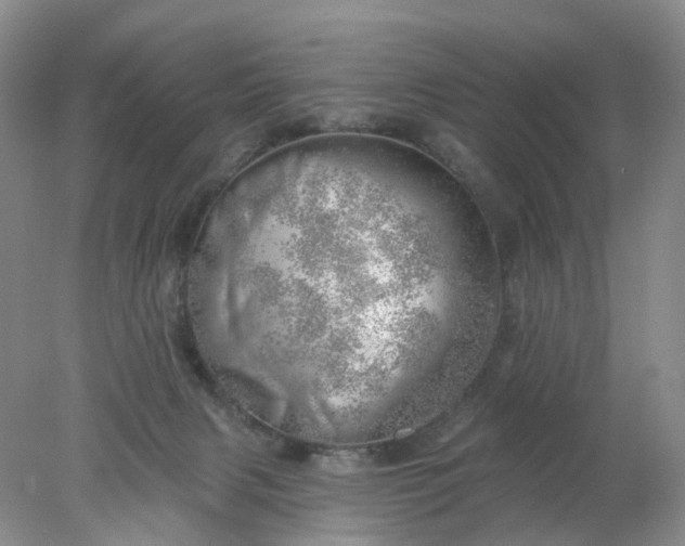 X0000078270079200611172041