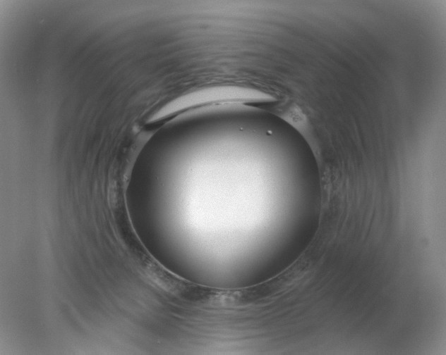 X0000078270080200611172041