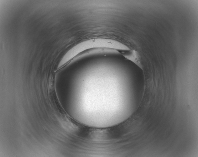 X0000078270081200611172041