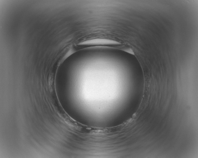 X0000078270082200611172041